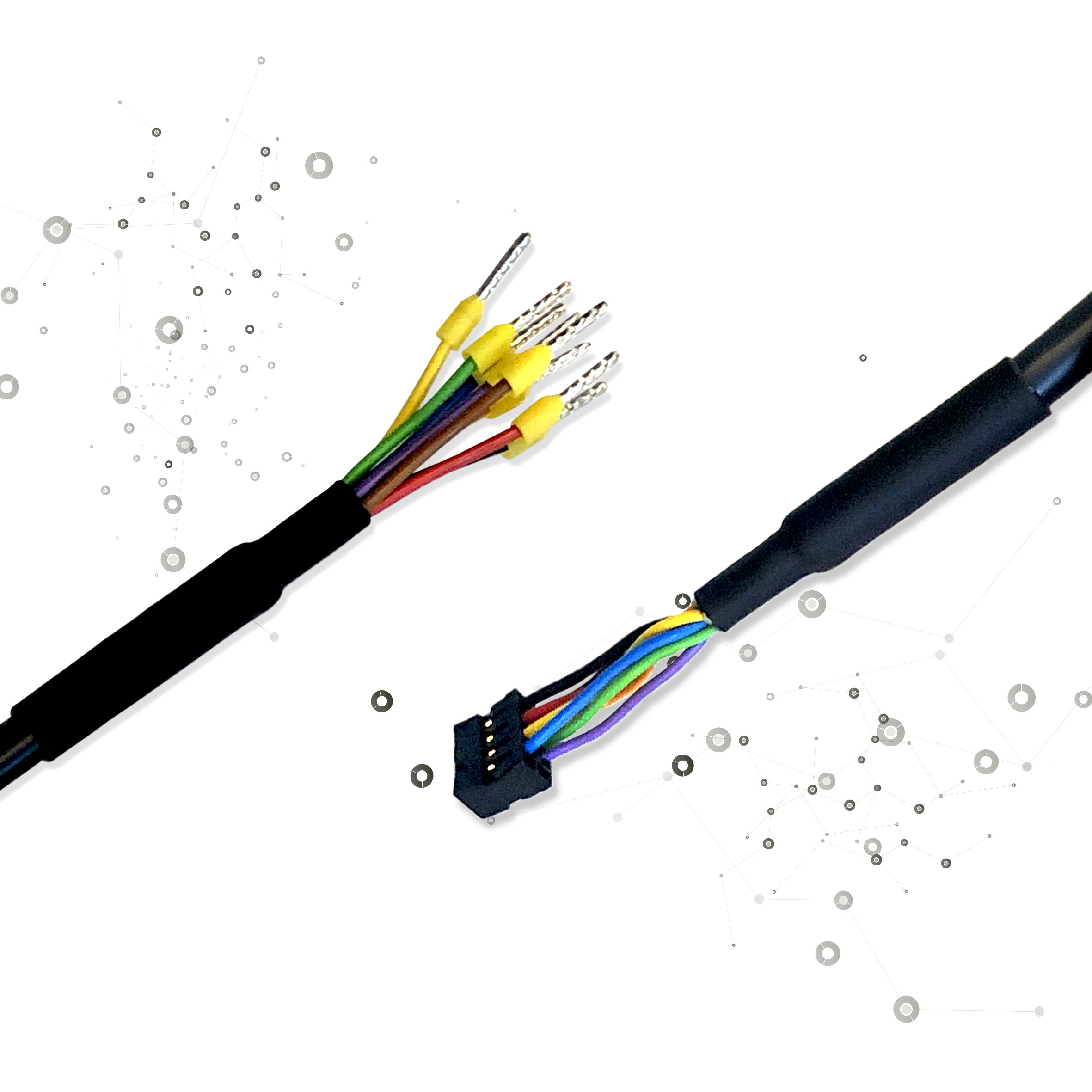 ACTIGY Cable Connect